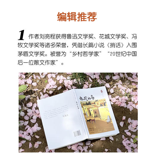 逃跑的马   百千61期年五年级级共读书小学生5年级正版现货速发 商品图3