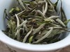 2022年春福鼎白茶荒野老枞典藏级牡丹王散茶 荒野小白日晒枞古大巧500g 商品缩略图4