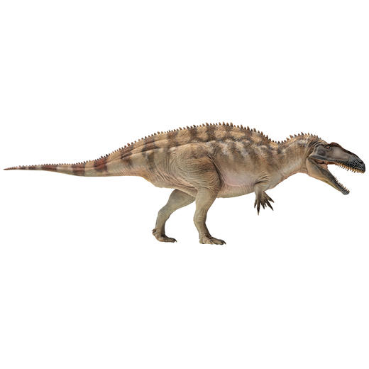 PNSO高棘龙弗格斯恐龙大王成长陪伴模型61 商品图1