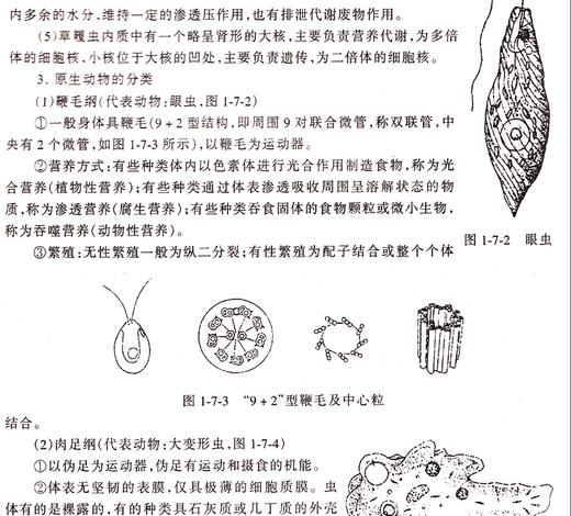 高中生物竞赛题典+培优教程/施忆 商品图4