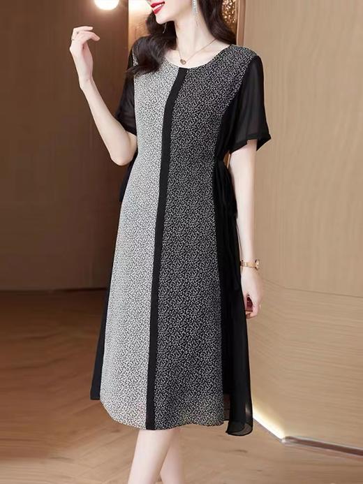 施恩睿棋8806（4） 商品图0