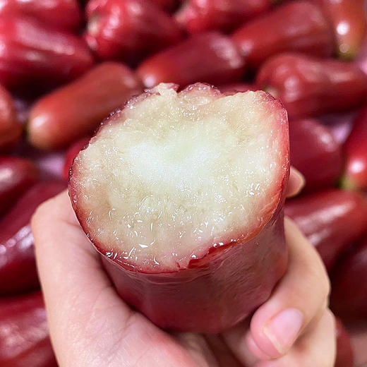 『海南黑金刚莲雾』清脆甘润 鲜爽细腻 商品图0