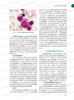 儿童免疫学 第2版 赵晓东 儿童临床免疫学器官系统疾病的免疫机制和诊疗手段 儿科医师参考书 人民卫生出版社9787117330022 商品缩略图4
