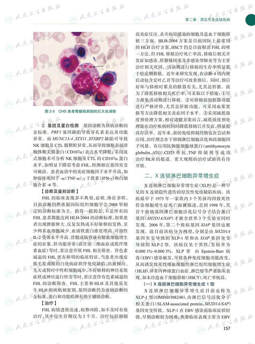 儿童免疫学 第2版 赵晓东 儿童临床免疫学器官系统疾病的免疫机制和诊疗手段 儿科医师参考书 人民卫生出版社9787117330022 商品图4