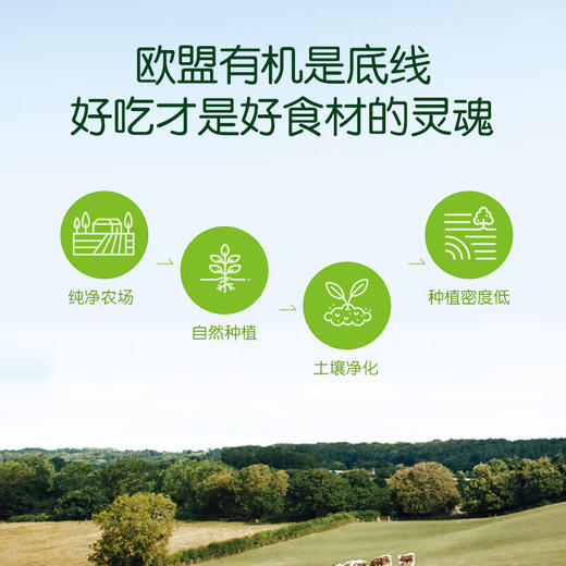 小皮婴儿辅食宝宝缤纷营养果蔬泥100g 商品图3