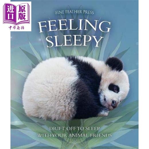 【中商原版】Feeling Sleepy 我困了 英文原版 进口原版 0岁到5岁 儿童图画书 Andrea Pinnington  商品图0