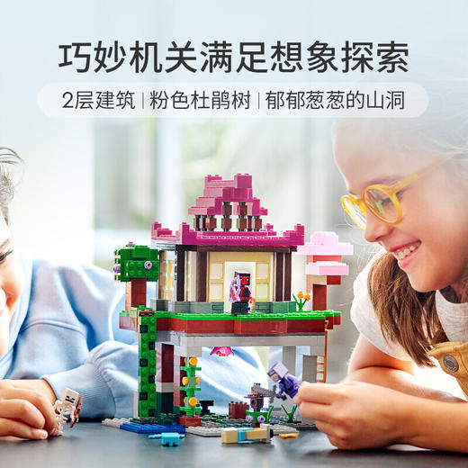 乐高我的世界系列21183训练场 商品图1