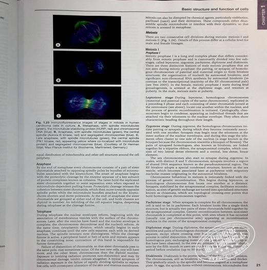 【中商原版】Gray解剖学 英文原版 Gray S Anatomy 亨利 格雷 Henry Gray 商品图6