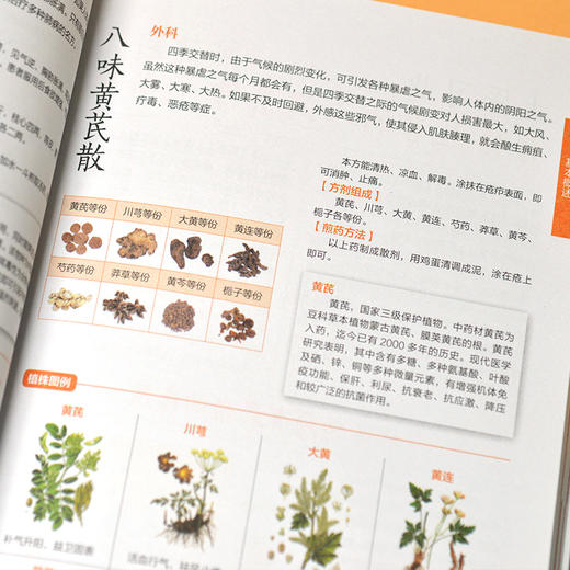 【心如健推荐】图解千金方极简养生速查全书 商品图3