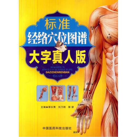 【心如健推荐】标准经络穴位图谱（大字真人版） 商品图0