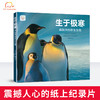 筑桥童书 生于极寒：南极洲的野生生物 精装7-10岁科普百科硬壳儿童少儿绘本 自然、生物、南极 儿童读物·科普百科 ZQ 商品缩略图0