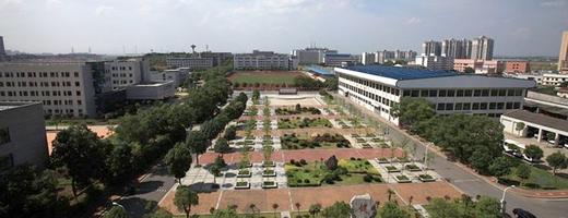 暑期战狼军事夏令营-将帅营 商品图4