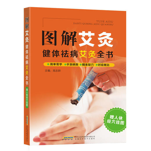 【心如健推荐】图解艾灸：健体祛病艾灸全书 商品图0