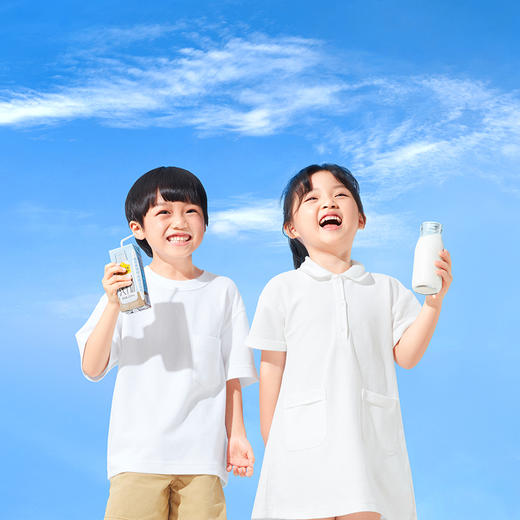 认养一头牛纯牛奶250ml*12盒*2提 商品图2