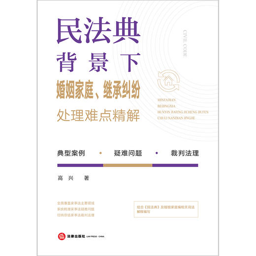 民法典背景下婚姻家庭 继承纠纷处理难点精解 高兴著  商品图1