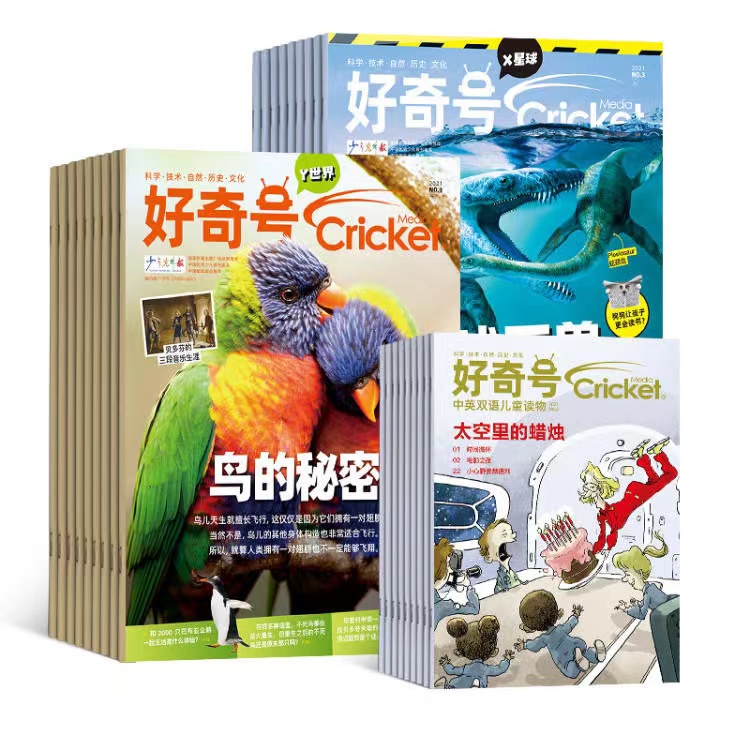 好奇号杂志 1年共12期 全年36本+先导视频