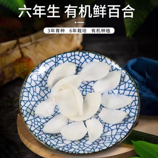 有机甜鲜百合（产地：兰州） 商品图2