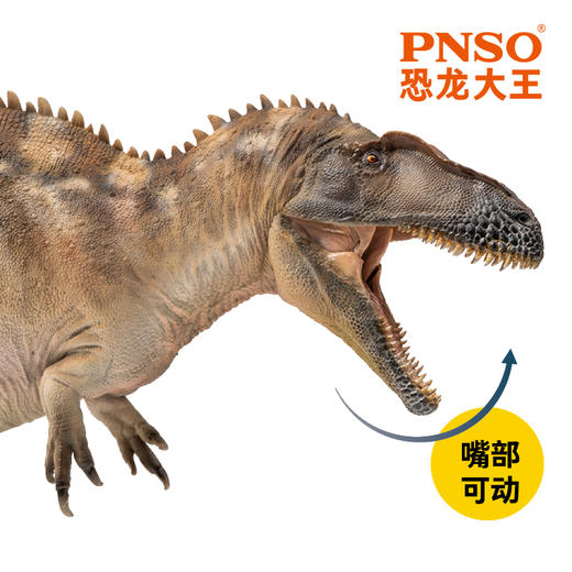 PNSO高棘龙弗格斯恐龙大王成长陪伴模型61 商品图4