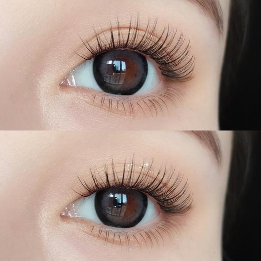 【大直径月抛】Y20·米露可·Lillilly丨14.5mm（月抛/2片装） 商品图3