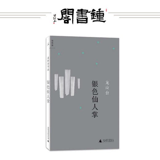 银色仙人掌 龙应台文学小说集 商品图0