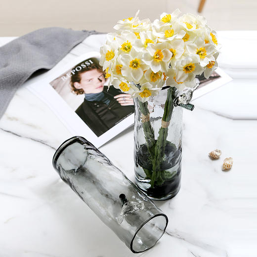 轻奢百灵鸟玻璃艺术花瓶-q 商品图2