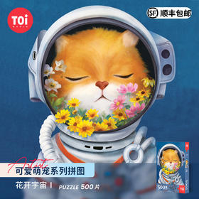 TOI图益潮玩拼图500片成年人减压解闷手工益智玩具花开宇宙
