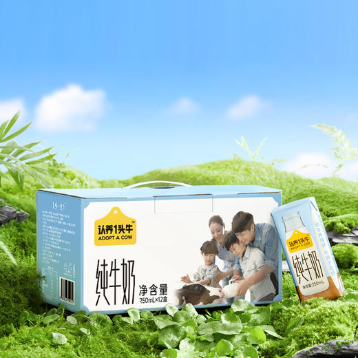 认养一头牛纯牛奶250ml*12盒*2提 商品图0