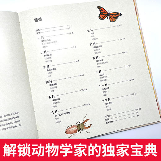 筑桥童书 赤道以北 赤道以南——野生动物的春夏秋 6~10岁精装儿童读物绘本 科普百科·动物科普 一本独特的地球环境和动物书 ZQ 商品图2