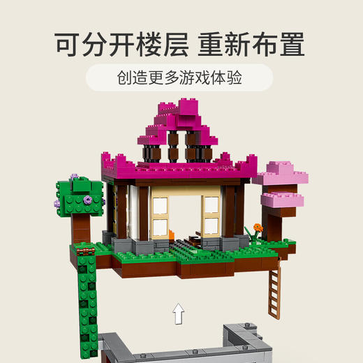 乐高我的世界系列21183训练场 商品图2
