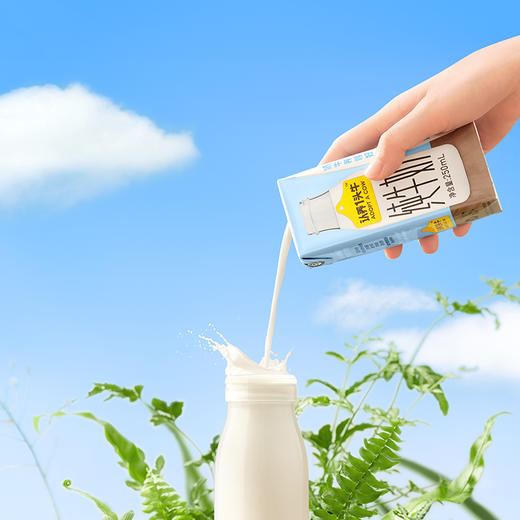 认养一头牛纯牛奶250ml*12盒*2提 商品图1