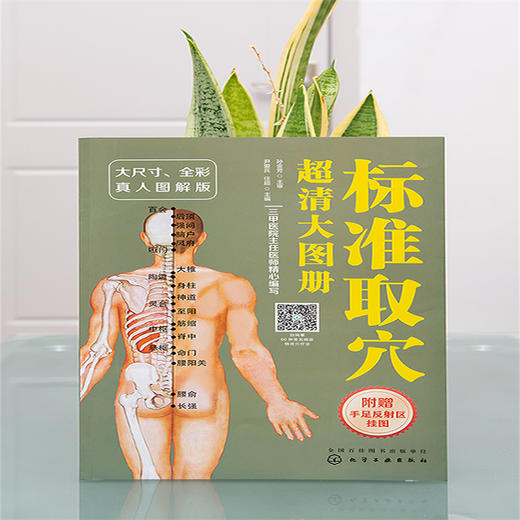 【心如健推荐】标准取穴超清大图册 商品图3