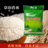 （乡村振兴商品）禾之睿 5KG京山香米  商品缩略图0