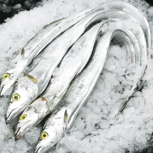 冰鲜钓带鱼 约1kg/份(规格500-700g/只) 商品图0