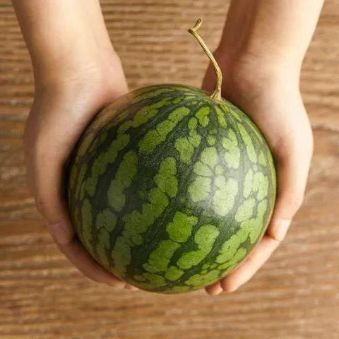 【特小凤黄瓤西瓜】香脆爽口 皮薄肉厚 一口沁心甜 4-5斤 商品图5