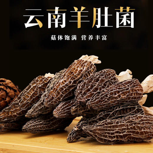 🍄云南 ·高原 ·精品 · 干羊肚菌 商品图0