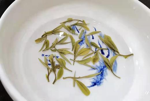 2022年春福鼎白茶荒野老枞典藏级牡丹散茶 特级花香日晒枞古生香500g 商品图6