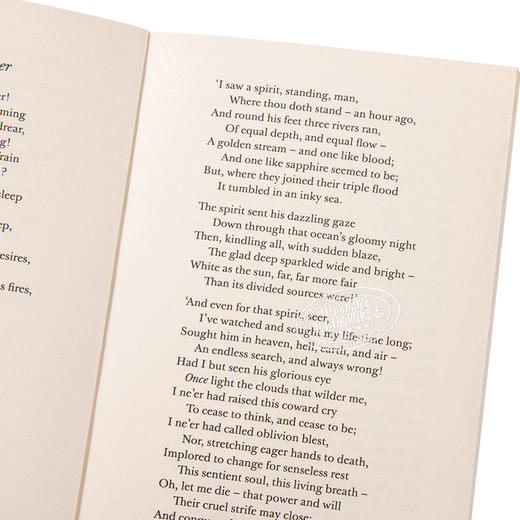 【中商原版】LBS:  63 The Night is Darkening Round Me 英文原版 小黑书: 63 艾米莉·勃朗特：四周夜色越来越暗 商品图3