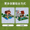 乐高21161我的世界 建造箱子 3.0 商品缩略图2