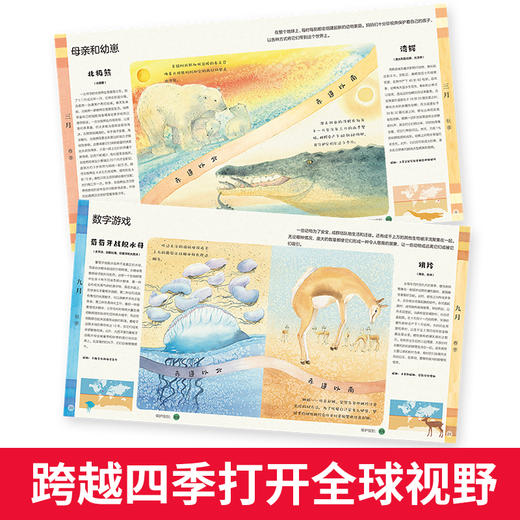 筑桥童书 赤道以北 赤道以南——野生动物的春夏秋 6~10岁精装儿童读物绘本 科普百科·动物科普 一本独特的地球环境和动物书 ZQ 商品图3