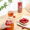 金晔山楂多多果汁饮料310ml 商品缩略图0