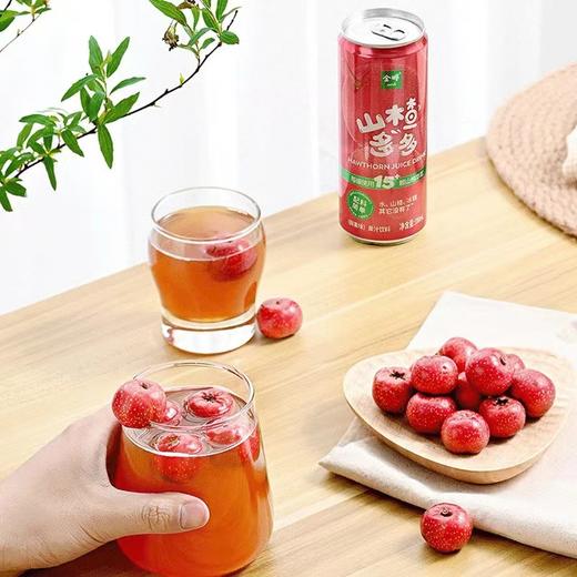 金晔山楂多多果汁饮料310ml 商品图0