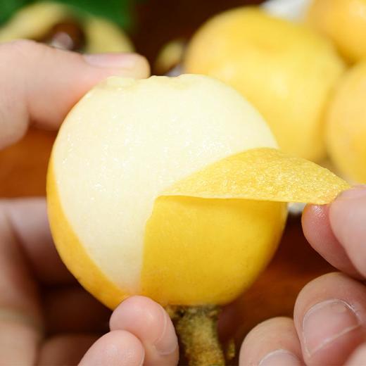 【新橙源味专供】东山白玉枇杷（72粒约5斤/箱） 商品图1