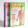 【心如健推荐】儿童经络按摩+人体经络使用手册（套装全2册） 商品缩略图1