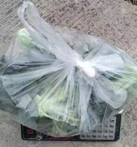 【崇明西兰花公益套餐】公益价19元/份，带叶约5斤装 ，50份起送