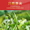 春贡·头采金芽红茶  金芽金汤 全单芽 金奖品质150g(3*50g) 商品缩略图3