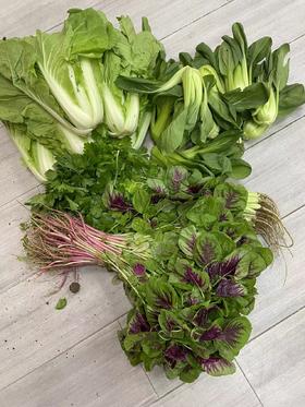 蔬菜(杭白菜、高杆茼蒿、生菜、芹菜，少量的空心菜、红米苋，一包不少于4个品种）4kg/份