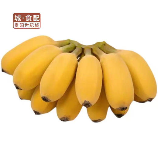 【GYZYDR】苹果蕉500g 商品图0