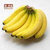 【GYZYDR】精品进口香蕉2.5-3斤/份 商品缩略图0