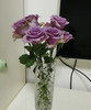 【昆明玫瑰】紫霞仙子 20支/扎  A级 商品缩略图5