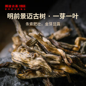 2003年景迈001小饼